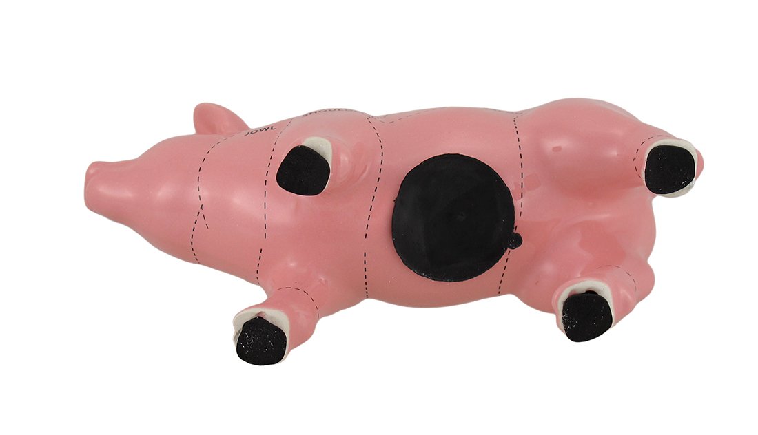 Amazon.co.jp: ピンクセラミックPig Shaped Coin Bank Butcherチャート